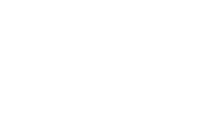 Eagle Eyes Restoration: Mold, Fire, Water Restoration insurance logo