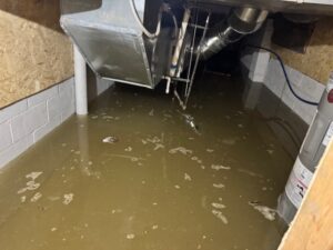Eagle Eyes Restoration: Mold, Fire, Water Restoration