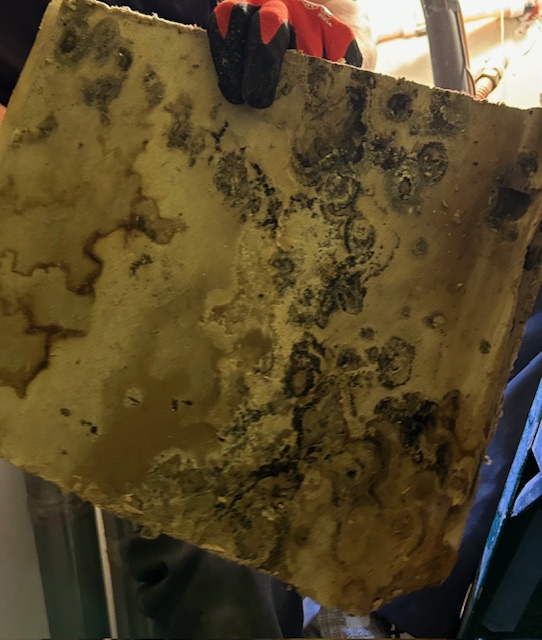 Eagle Eyes Restoration: Mold, Fire, Water Restoration