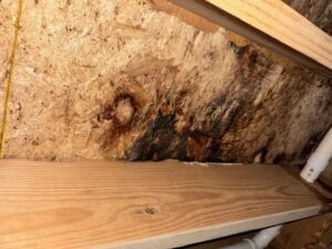 Eagle Eyes Restoration: Mold, Fire, Water Restoration