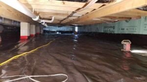 crawlspace protection