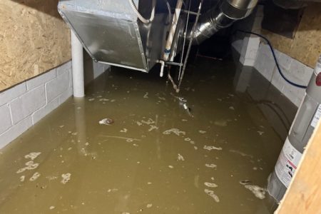 Eagle Eyes Restoration: Mold, Fire, Water Restoration