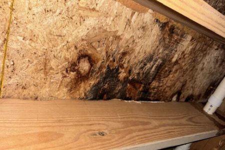 Eagle Eyes Restoration: Mold, Fire, Water Restoration
